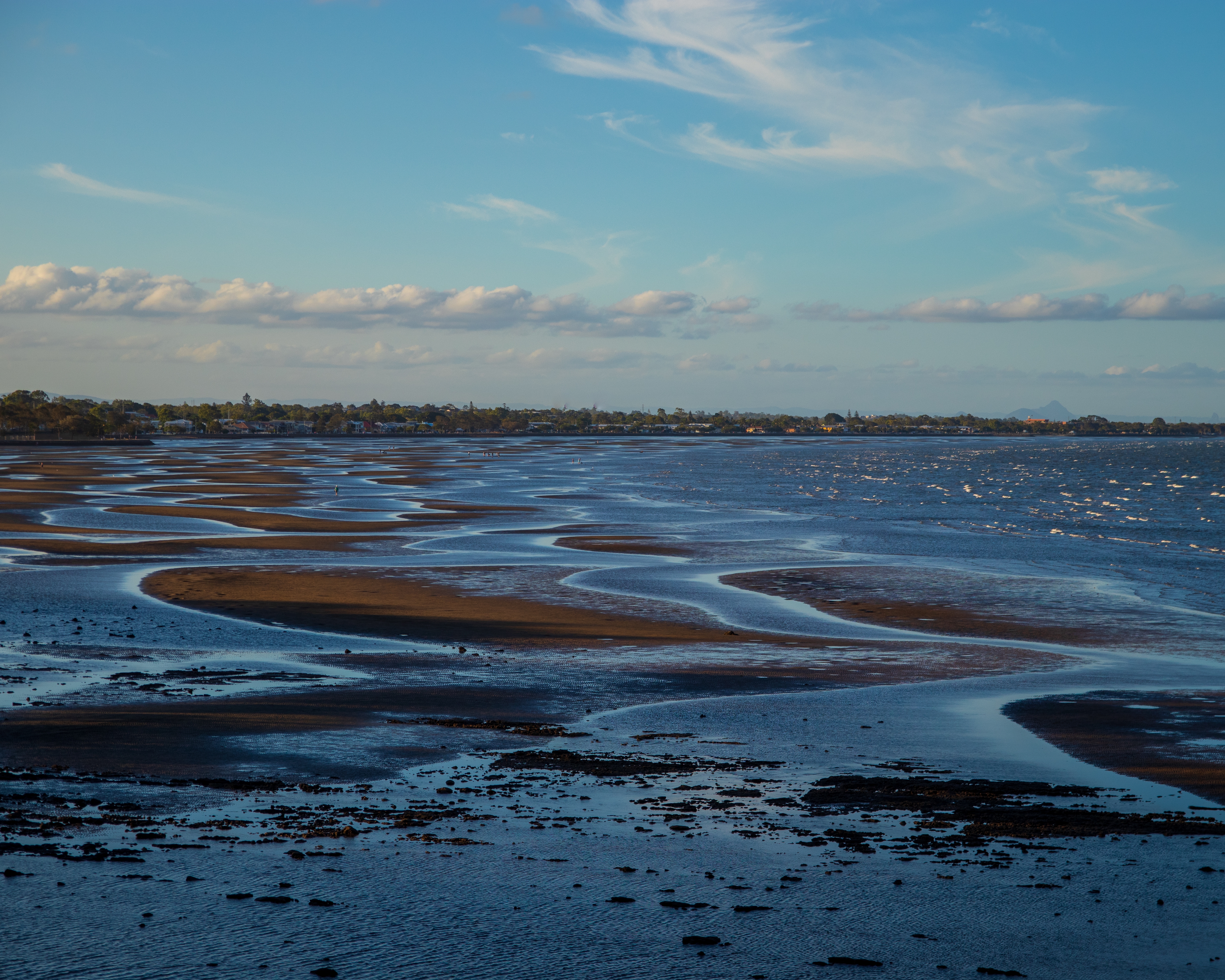 Gulf Coast tidal flats at low tide